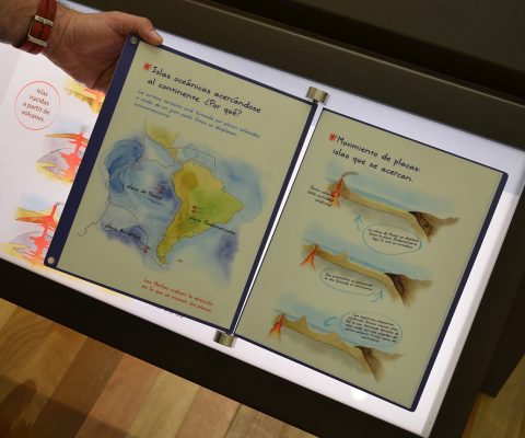 Libro rígido el Museo de Historia Natural de Valparaíso