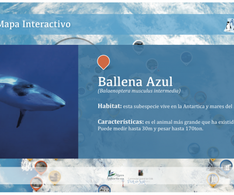 Recurso HTML5 Web