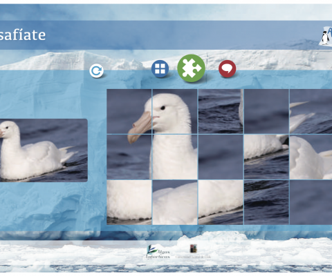 Recurso HTML5 Web