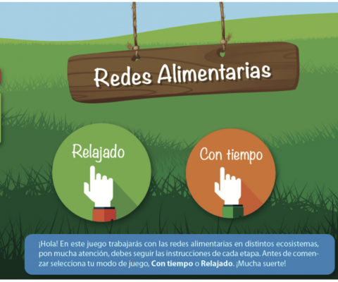 Juego HTML5